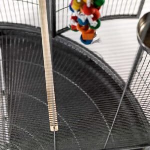 Discovery Corner Parrot Cage with Play Gym Top – Antique