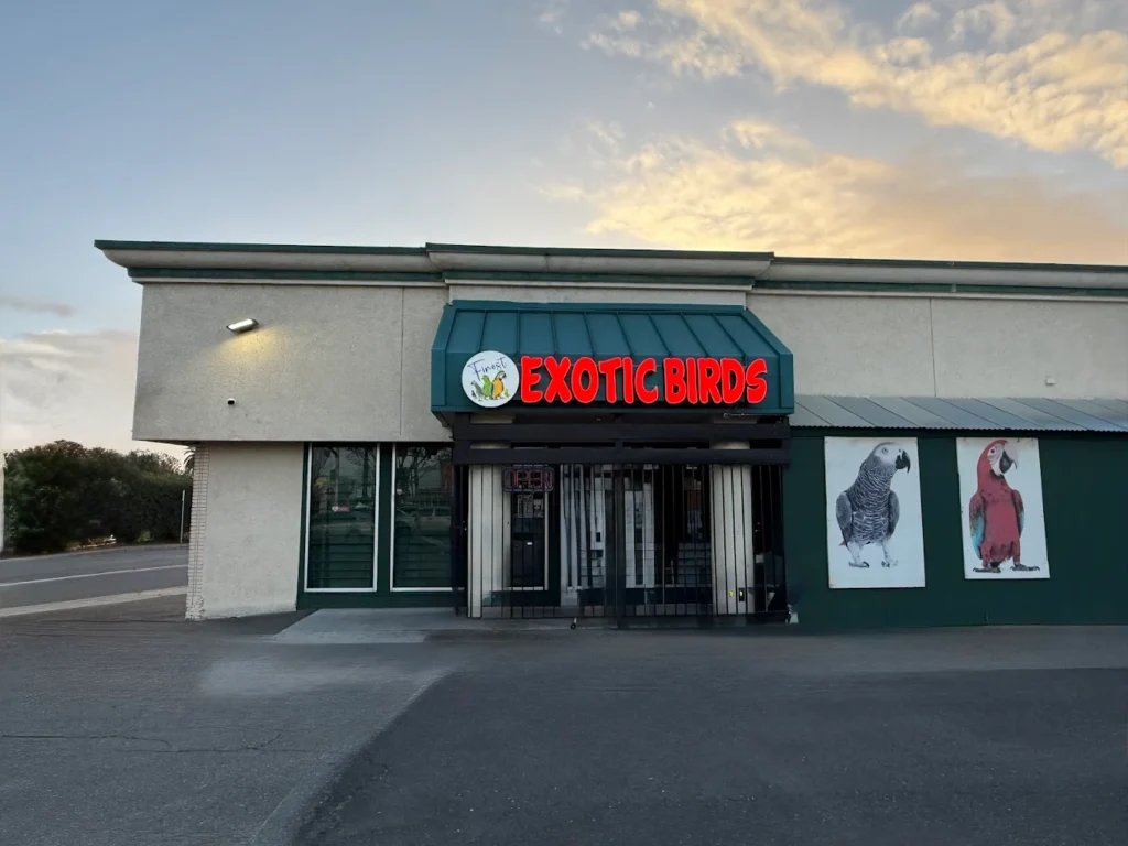 Finest Exotic Bird store Sacramento